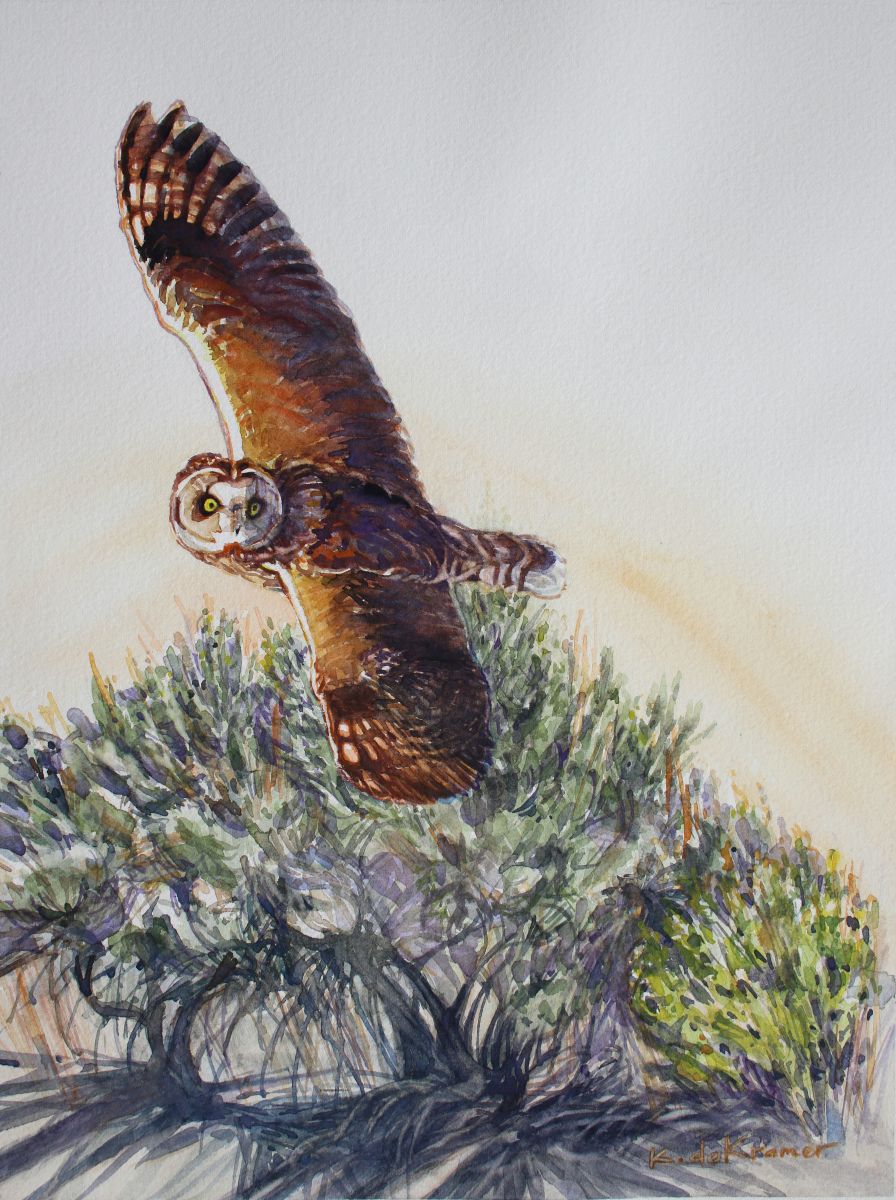 Short-eared Owl Short-eared Owl
