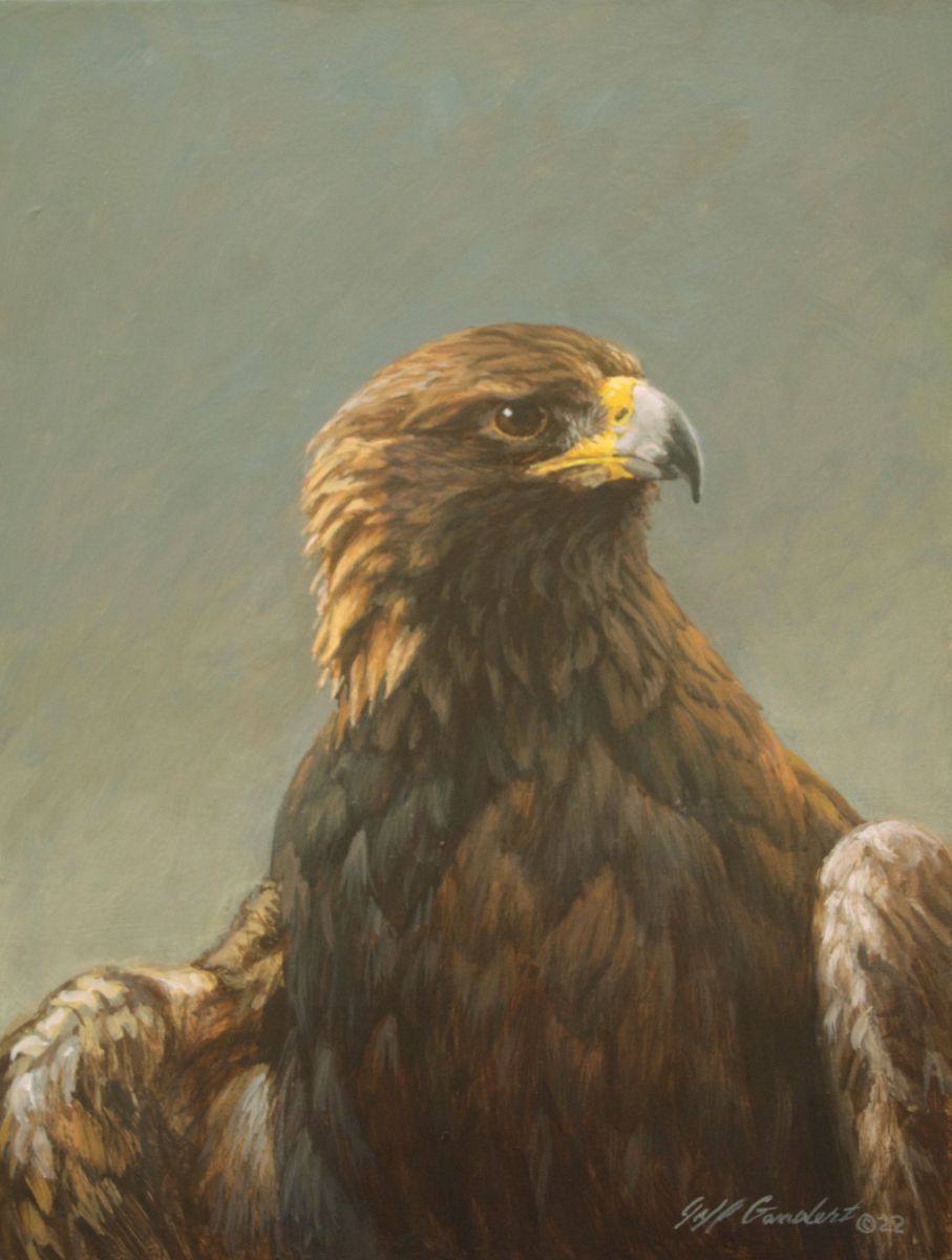 Golden Eagle Golden Eagle